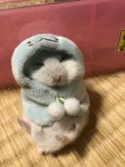 ハナピーの画像