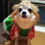 エツミント