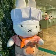 さらさ✴︎即日発送しますの画像