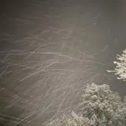 まの画像