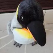 あかゆん