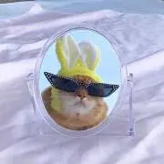 （＾ω＾）