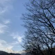 リズの画像