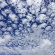 ゆっきん
