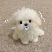 みっちーの画像