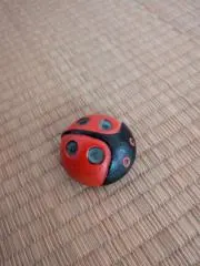 TERUの画像
