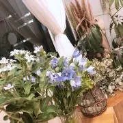 yÜi♛♡*。゜の画像