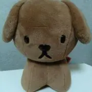 てっちの画像