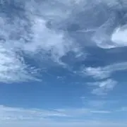めろんの画像