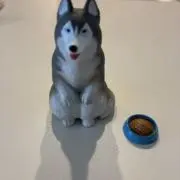 KEYの画像