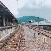 cocoの画像