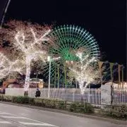 びび子♡プロフ確認必ずお願い致します。