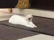 まつ358