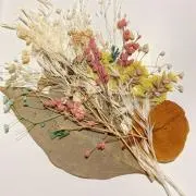 ここの画像