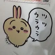め〜めの画像