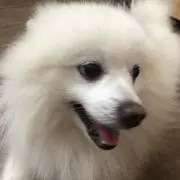 Mthcxgの画像