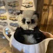 カタピー