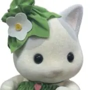 ぼんたん