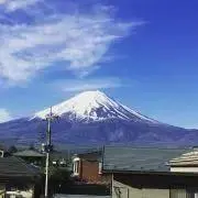 ナッツの画像