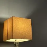 くらげの画像