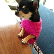 こえり♡