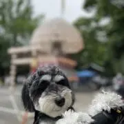 いっさの画像