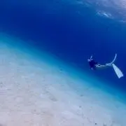 RRAの画像