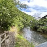 みどりの画像