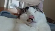 まーさん