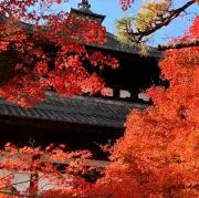 ayakaの画像