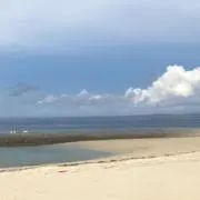みっちの画像