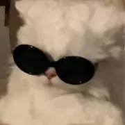 ほのの画像