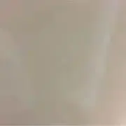 むぎの画像