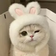 はるな66