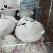 ゆうゆうさんの画像