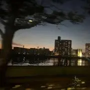 よもぎもち　スクイーズおまとめセール中の画像