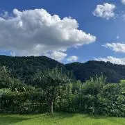 JJAN