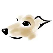 かしこの画像