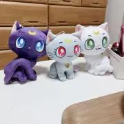 ぱすてるの画像