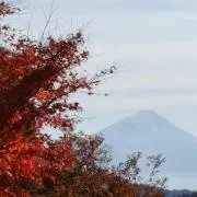 たー坊