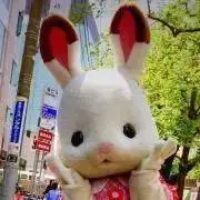 ミヤモト