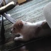 ミキコ