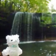 みやの画像
