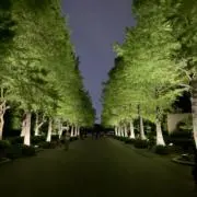 Kyoの画像
