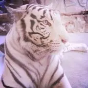 みんぐ✩︎の画像