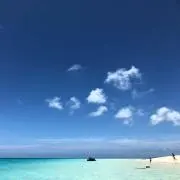 フランボワーズの画像