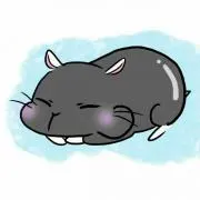 ゆっこ