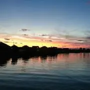はなあび182の画像