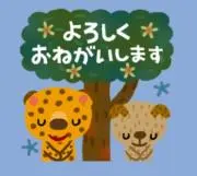 クーコの画像