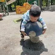 木製農具 曲線刃 収穫用 - メルカリ